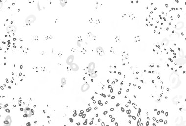 Light Silver, daire şekilli gri vektör düzeni. Parlak renkli soyut çemberlerin olduğu bir resim. Reklamlar, broşürler için desen.