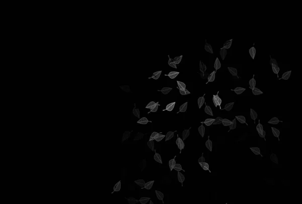 Dark Black Vector Sketch Layout Sketchy Doodles Colorful Gradient Leaves — Wektor stockowy