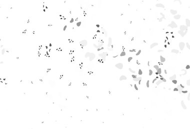 Açık gümüş, soyut şekilli gri vektör arkaplan. Modern tarzda değişen renkli kaotik formlar. Kartvizitiniz için modern tasarım.