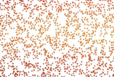 Kabarcıklı hafif turuncu vektör arka planı. Doğa tarzında renkli baloncuklu soyut illüstrasyon. Suyun deseni, yağmur damlaları.