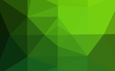 Açık yeşil vektör çokgen çizimi. Zarif bir tasarıma sahip soyut bir çizim. Tasarımınız için yeni doku.