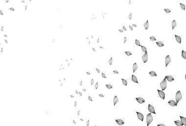 Açık gümüş, gri vektör elle boyanmış desen. Yapraklı basit bir illüstrasyon. Marka kitabı için desen.