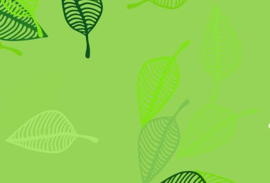 Açık Yeşil Vektör çizim düzeni. Rengarenk yapraklı doğal bir desen. İş tasarımınız için yeni şablon.