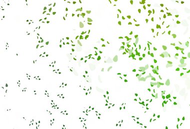 Soyut şekilli açık yeşil vektör arkaplanı. Modern tarzda değişen renkli kaotik formlar. Kartvizitiniz için modern tasarım.