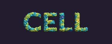 Hücre 