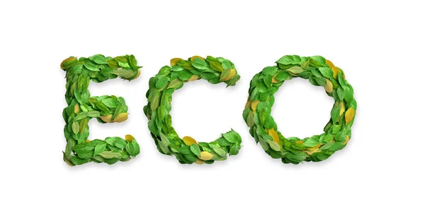 Leaves Arranged Word Eco — Stock Photo, Image