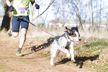 Köpek ve insan popüler bir kanikros yarışına katılıyor.