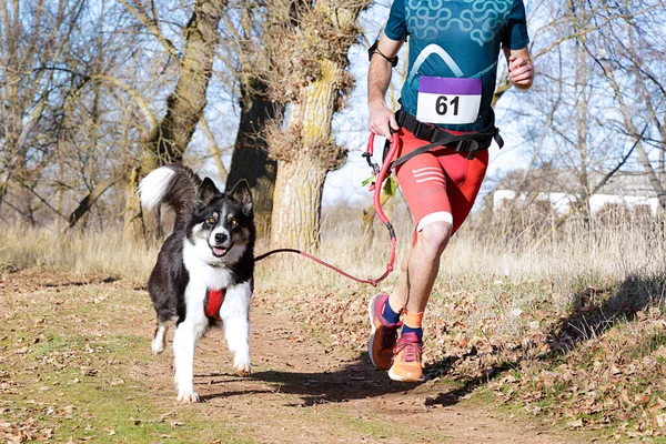 Hund Und Mensch Beim Beliebten Canicross Rennen — Stockfoto