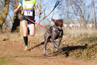 Köpek ve kadın popüler bir kanikros yarışına katılıyor.