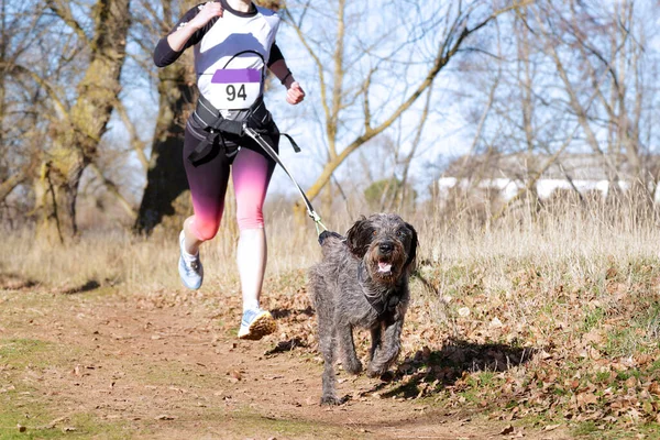 Köpek ve kadın popüler bir kanikros yarışına katılıyor.