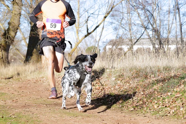 Köpek ve insan popüler bir kanikros yarışına katılıyor.