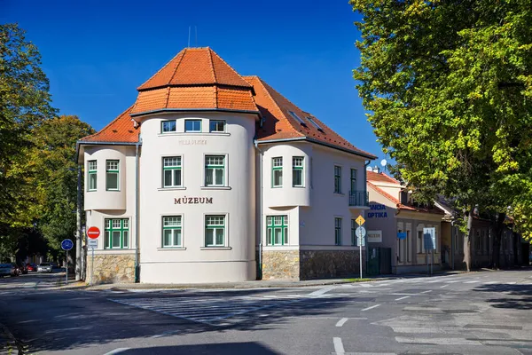Museum Piestany Villa Liska Словаччина — стокове фото