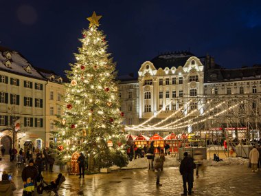 Slovakya 'nın Bratislava kentindeki Noel ağacı..