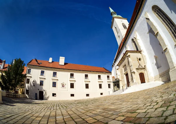 대성당 Martin Coronation Church Bratislava Slovakia — 스톡 사진