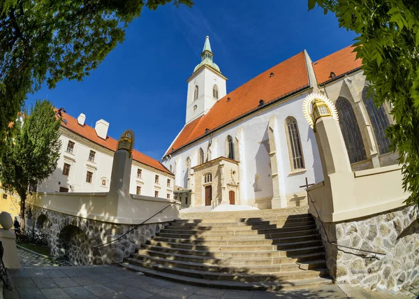 Caf Martineum Gotik Martin Katedrali Taç Giyme Kilisesi Bratislava Slovakya — Stok fotoğraf