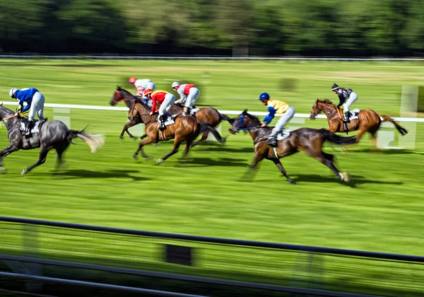Horse racing in Zrkadlovy haj, Bratislava, Slovakia.