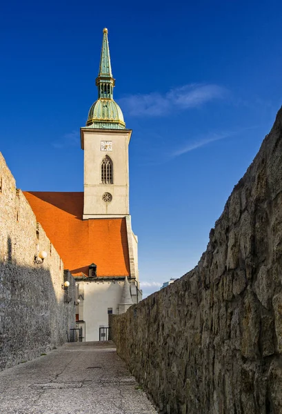 Martin Gotik Katedrali Taç Giyme Töreni Kilisesi Bratislava Slovakya — Stok fotoğraf