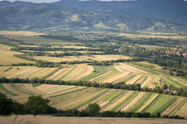 Dağ manzarası, güneşli gün Romanya manzarası