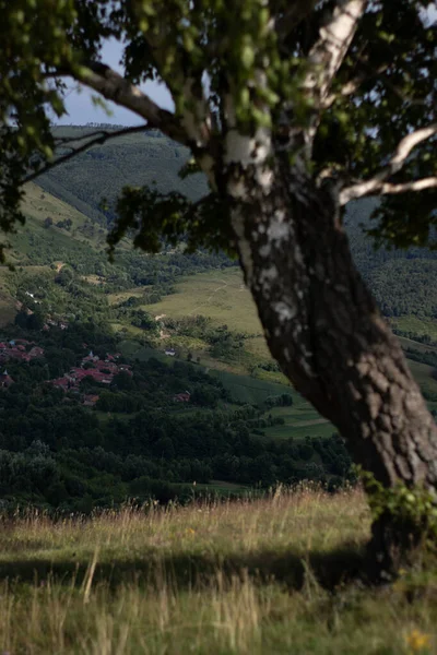Horská Krajina Slunečný Den Rumunsko Pohled — Stock fotografie