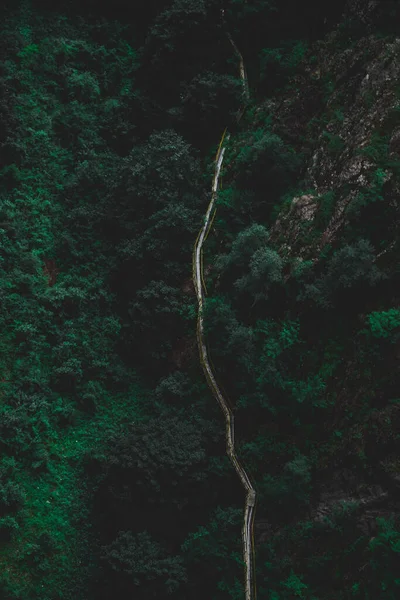 Estrada Cercada Por Natureza Verde Drone Aéreo Vista Acima — Fotografia de Stock