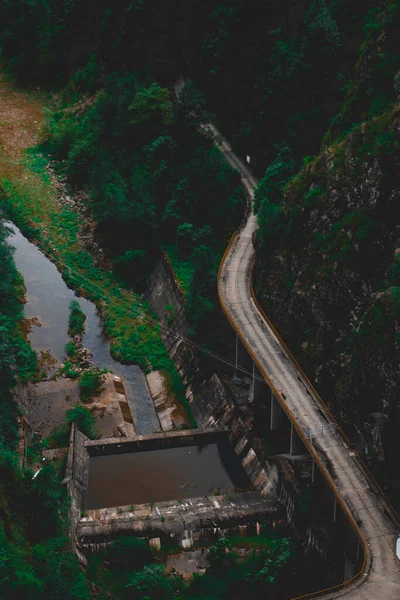 Estrada Cercada Por Natureza Verde Drone Aéreo Vista Acima — Fotografia de Stock