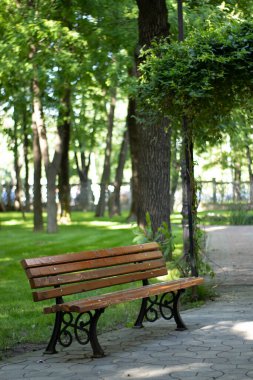 Parkta bir bank, yeşil doğa, yaz