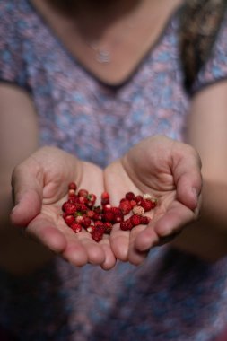 Kırmızı meyve tutan kadın, sağlık doğal, güzel bir gün.
