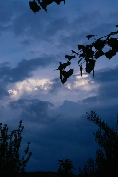 Вид Облачное Небо Сквозь Листья Березы Природа — стоковое фото