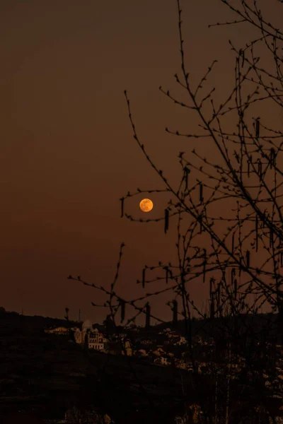 Fool Moon Night Silence Yellow Orange Sky — Foto Stock