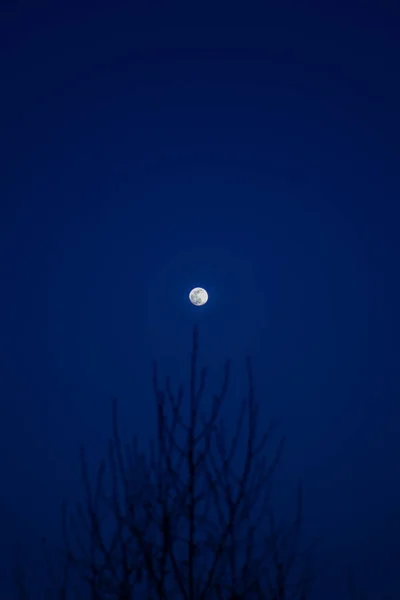 Глупая Луна Ночью Тишина Голубое Небо — стоковое фото
