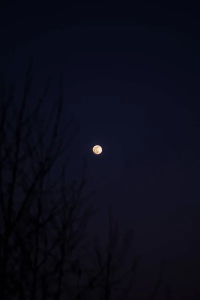 Fool Moon Night Silence Blue Sky — Stockfoto