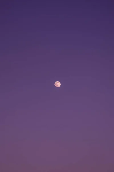 Fool Moon Night Silence Purple Sky — Foto Stock