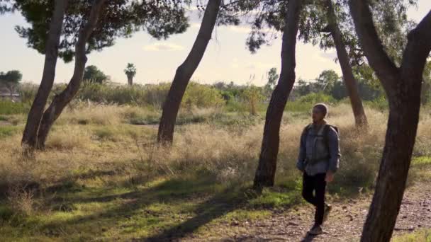 Joven Caminando Por Bosque Lleva Sombrero Una Mochila Montaña Concepto — Vídeo de stock