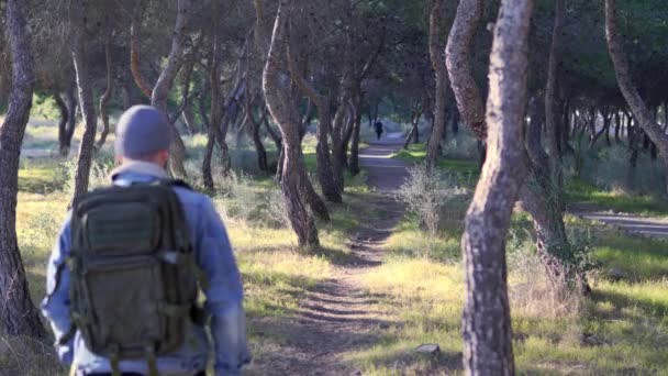 Joven Caminando Por Bosque Atardecer Con Espalda Cámara Lleva Sombrero — Vídeo de stock