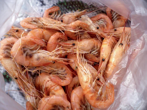 Shrimps Plastic Bag Traditional Ukrainian Vacation Sea Food Boiled Shrimp — Stock Photo, Image