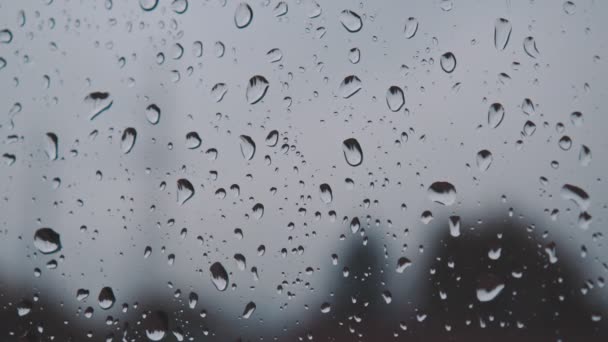 "detalhes de gotas de água no vidro da janela após forte chuva — Vídeo de Stock