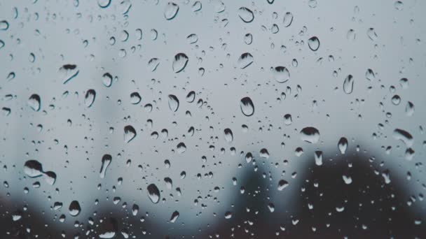 Detailní záběr kapek vody stékajících po silném dešti na modré okenní sklo — Stock video