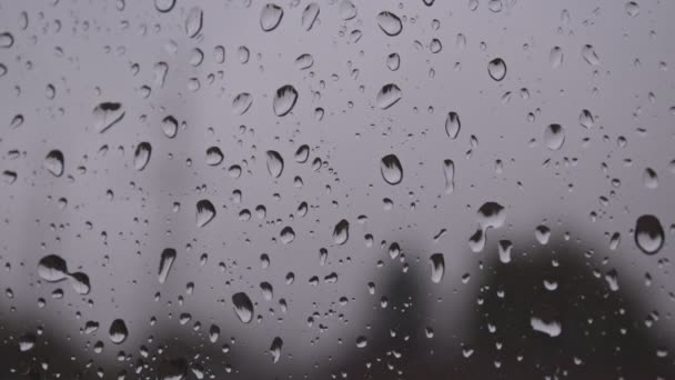 Подробный снимок капель воды, льющихся на серое стекло окна после сильного дождя — стоковое видео