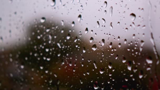 Detailní zblízka silné kapky dešťové vody stékající po skleněném okně — Stock video