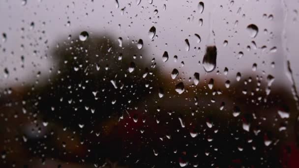 Detailní zblízka silného deště drobné kapky vody stékající dolů na sklo okna — Stock video