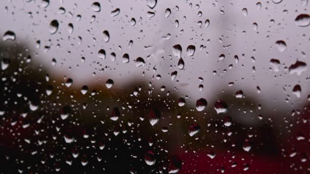 Cerrar los detalles de gotas de agua en el vidrio de la ventana después de fuertes lluvias otoñales — Vídeo de stock