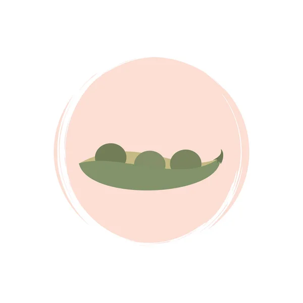 Симпатичный Логотип Иконка Вектор Горохом Овощи Иллюстрация Круге Текстурой Кисти — стоковый вектор