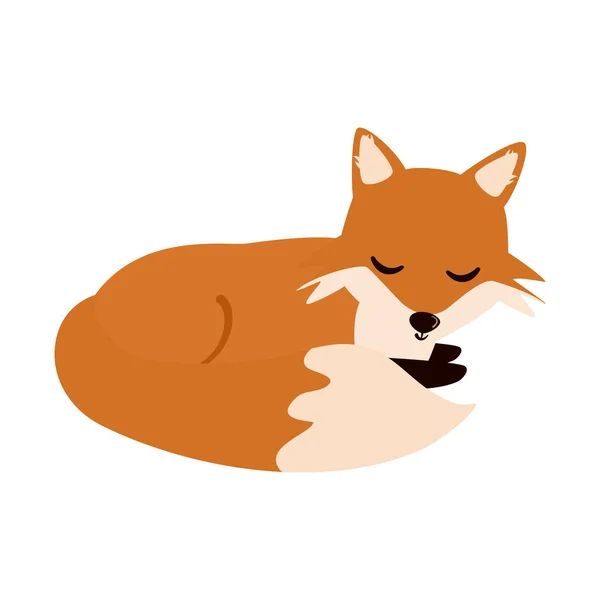 可爱的卡通人物狐狸被白色背景隔离了 — 图库矢量图片