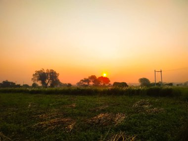 Hindistan 'ın kırsalında güzel bir gün doğumu.