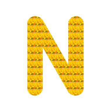 N harfi sarı hardal çiçeği şeklinde beyaza izole edilmiş. Alfabe.