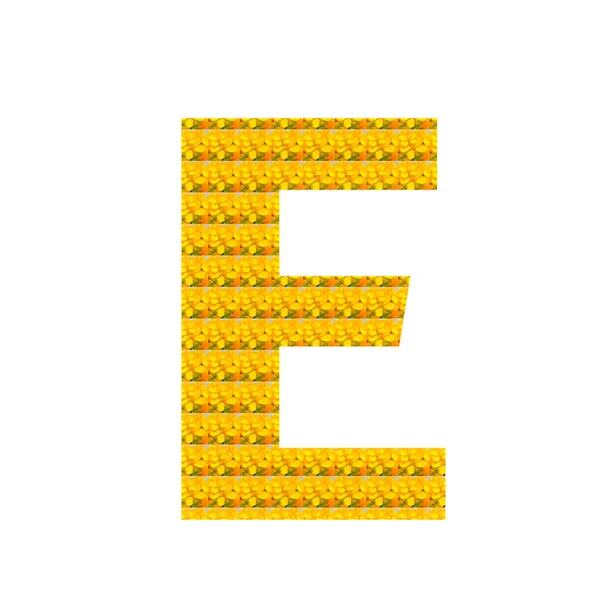 字母E以黄色芥末花的形式分离在白色上 字母拼音 — 图库照片