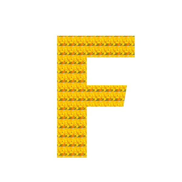 Litera Postaci Żółtego Kwiatu Gorczycy Wyizolowanego Biało Alfabet — Zdjęcie stockowe