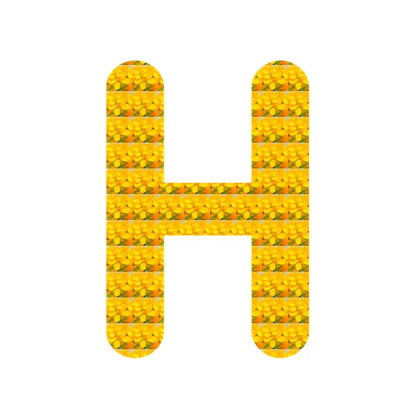 白に孤立した黄色のマスタードの花の形で手紙H アルファベット — ストック写真