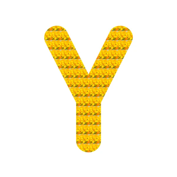 Litera Postaci Żółtego Kwiatu Gorczycy Wyizolowanego Białym Alfabet — Zdjęcie stockowe