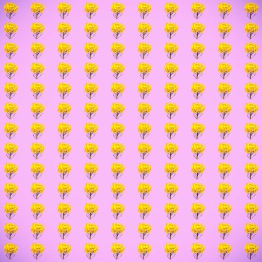 Hardal çiçekleri ile üç boyutlu kusursuz bir desen.